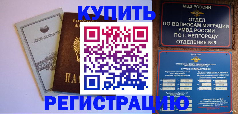 прописка гарантия в Шали